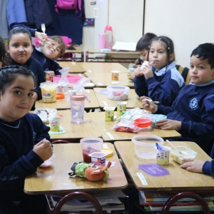 Día de la Actividad Física